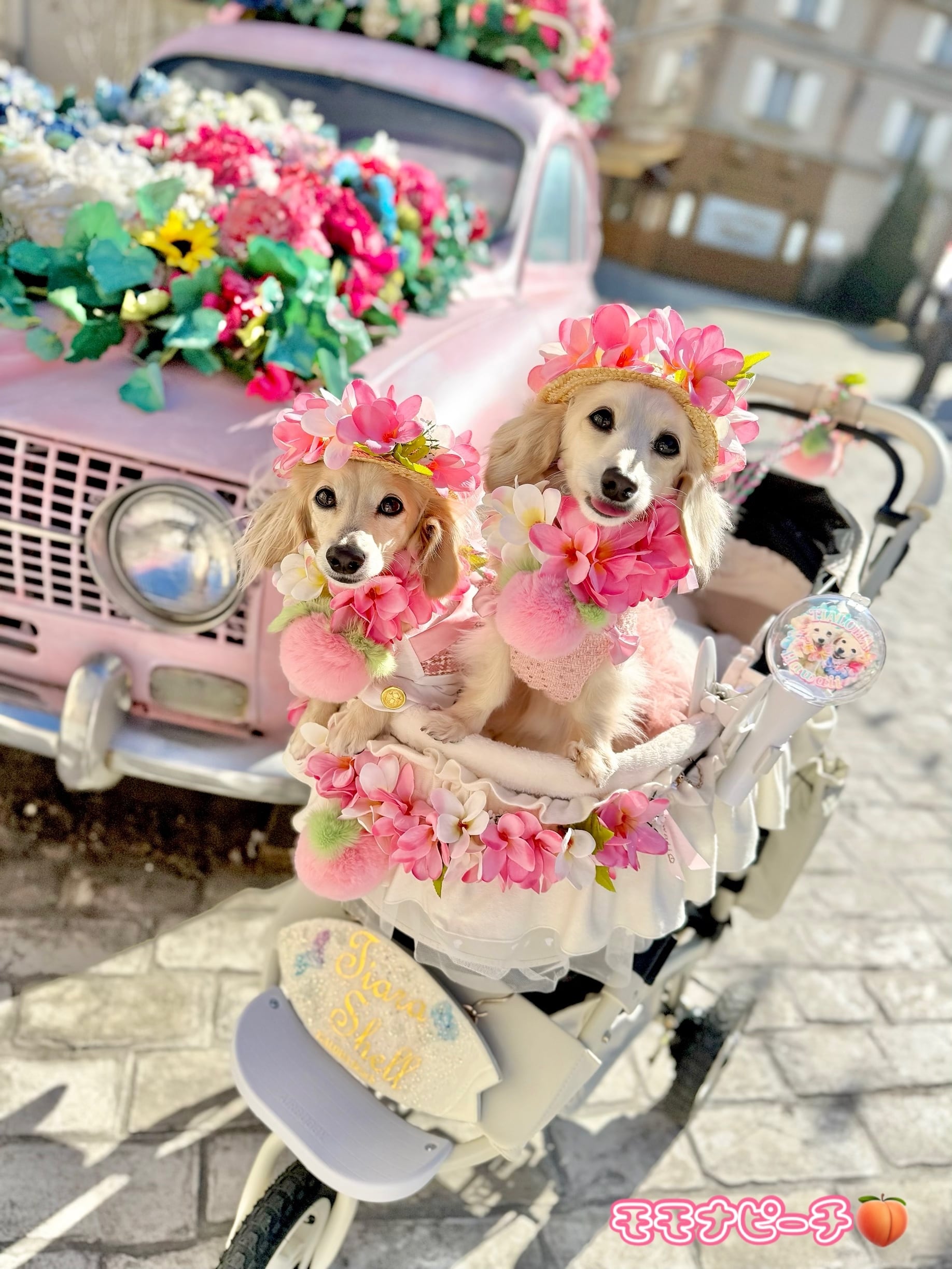 バギーカートレイ