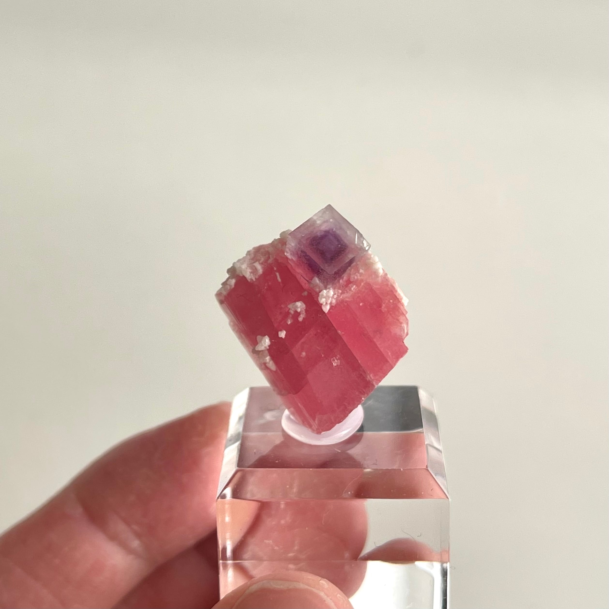 ロードクロサイト / フローライト【Fluorite on Rhodochrosite