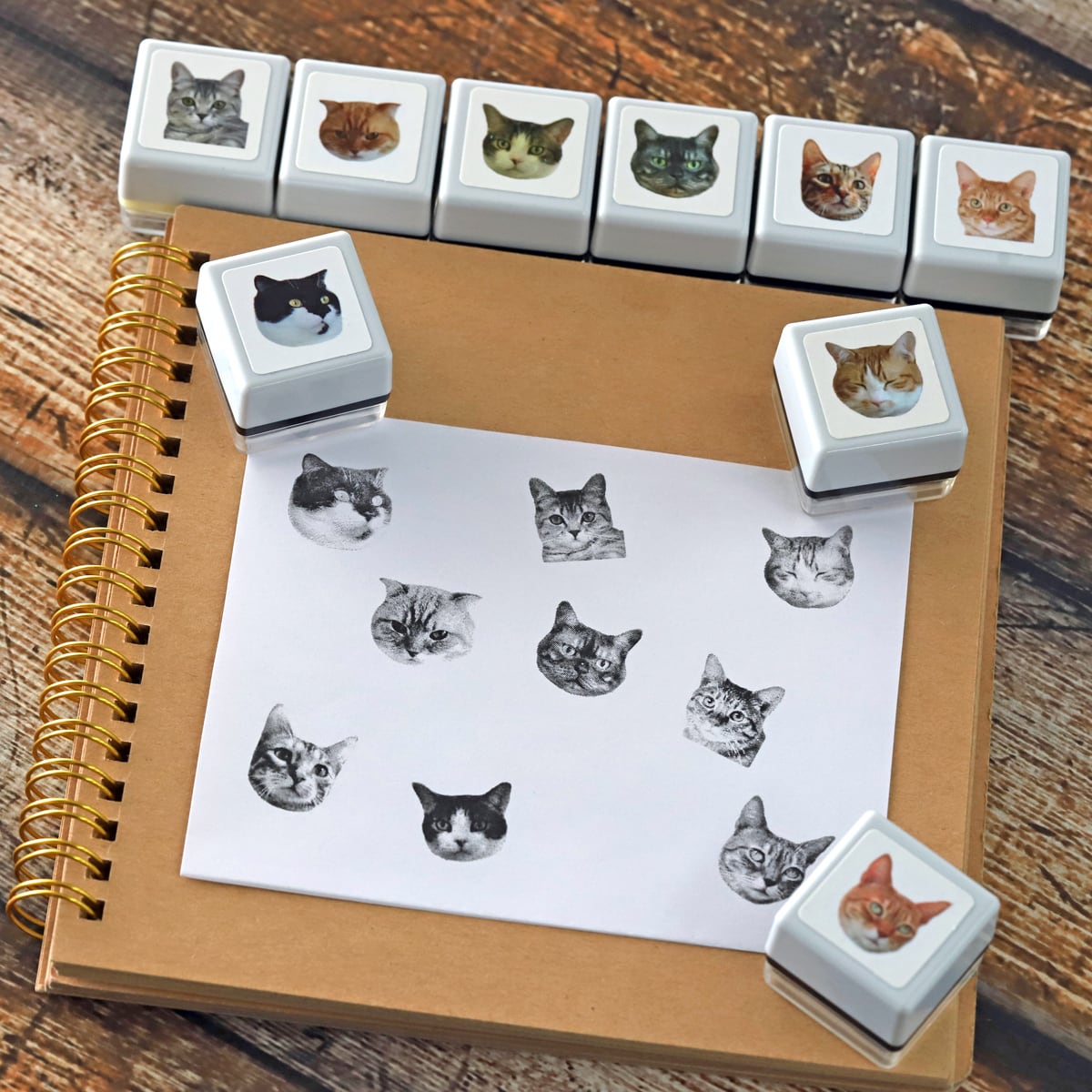 リアルふぉとスタンプ 日本猫 RP-004 | 浸透印スタンプ Yamahachi Stamp