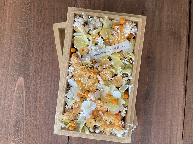 桐箱 - ikkonzome - 桐箱 - ikkonzome -