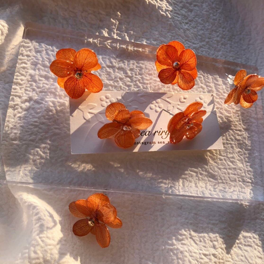 no.893 限定価格 紫陽花のピアス brick orange あじさい 本物のお花