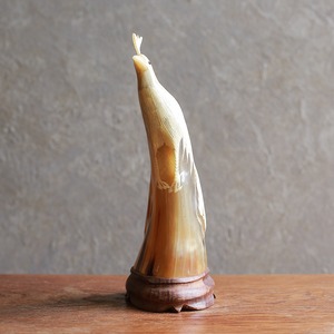 水牛の角から生まれた、優雅な孔雀 4