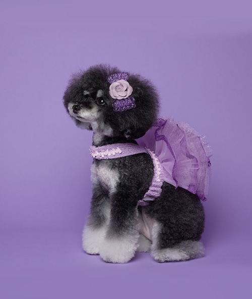 Purple tutu