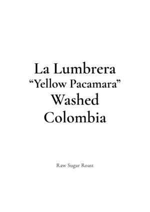 Colombia | La Lumbrera -Yellow Pacamara-