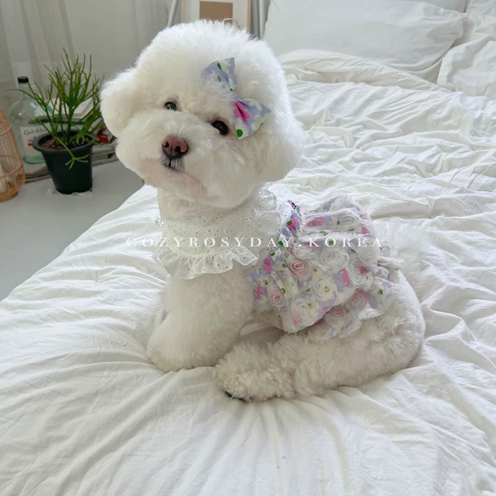 即納販売 lalaland hairpin ララランド ヘアピン（犬用ヘアピン）韓国
