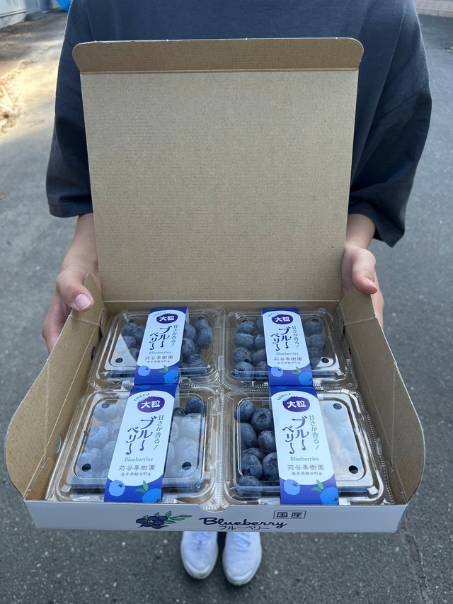 【2L】【約500ｇ】小分けパック（125g×4パック入り）大粒ブルーベリー