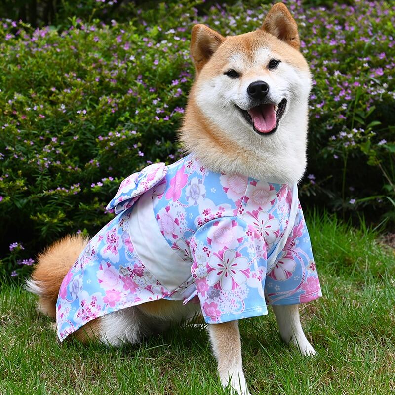 2色! お花模様の浴衣 和服