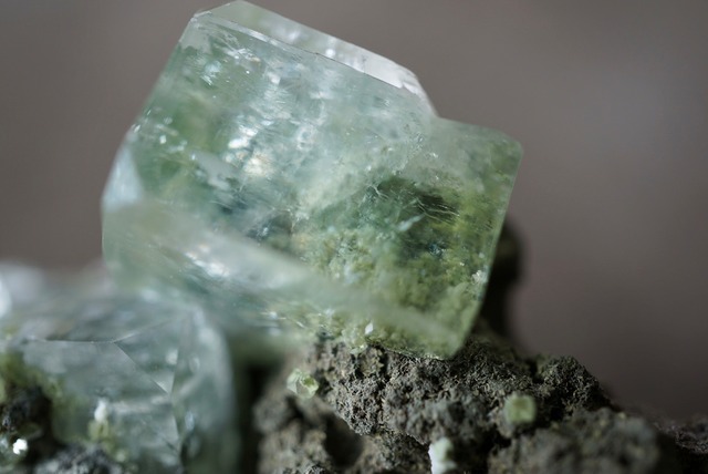 キュービックアポフィライト(クローライトインクルージョン) Apophylite / Chlorite 950