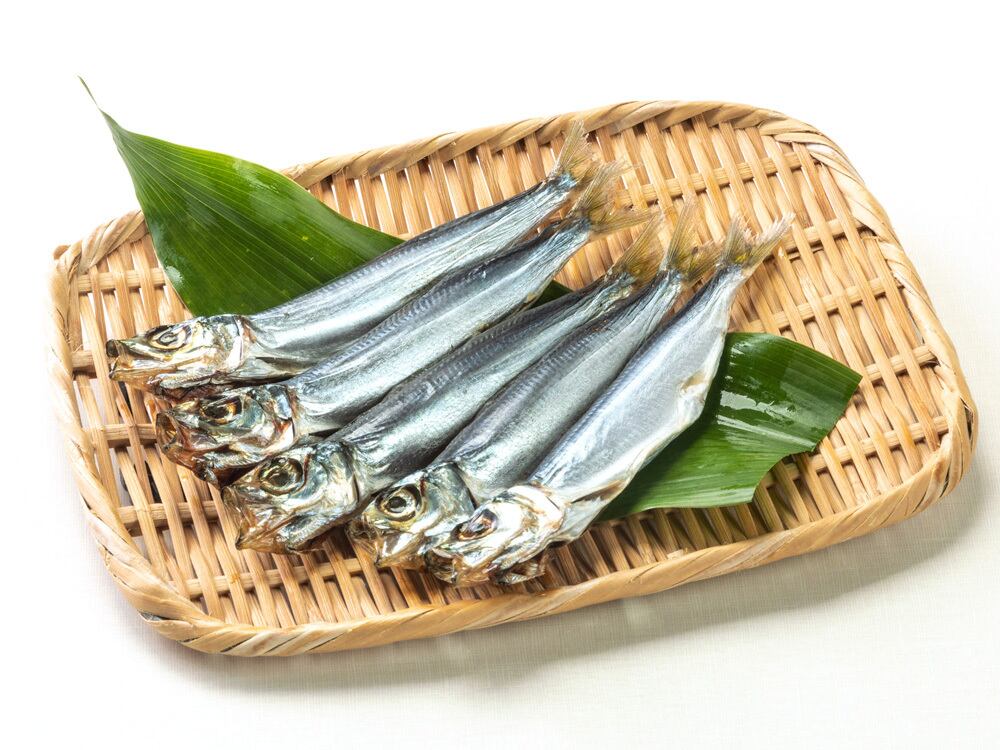 版画　うるめいわし 楽天市場】イワシ 3袋セット [下園薩男商店] 鹿児島阿久根産