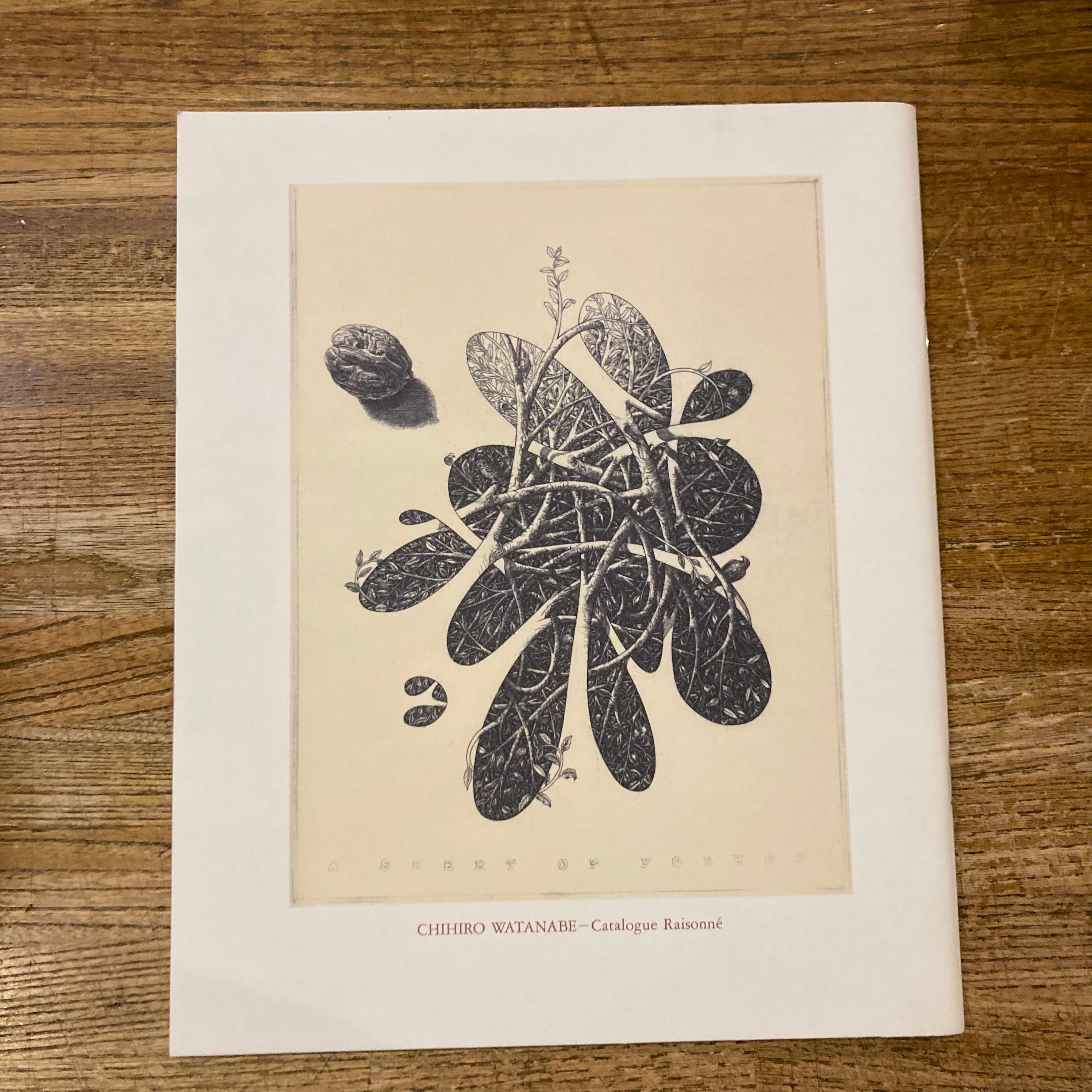 渡辺千尋 銅版画 カタログ・レゾネ | Pay ID