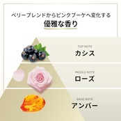 パンテーン 洗い流すトリートメント 300g [1.7 個分] 特大サイズ モイストスムースリペア