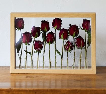 「赤バラDozen rose（12本のバラ）」の標本スタイル　『受注商品・ドライフラワー』　【送料無料】 | molek powered by BASE