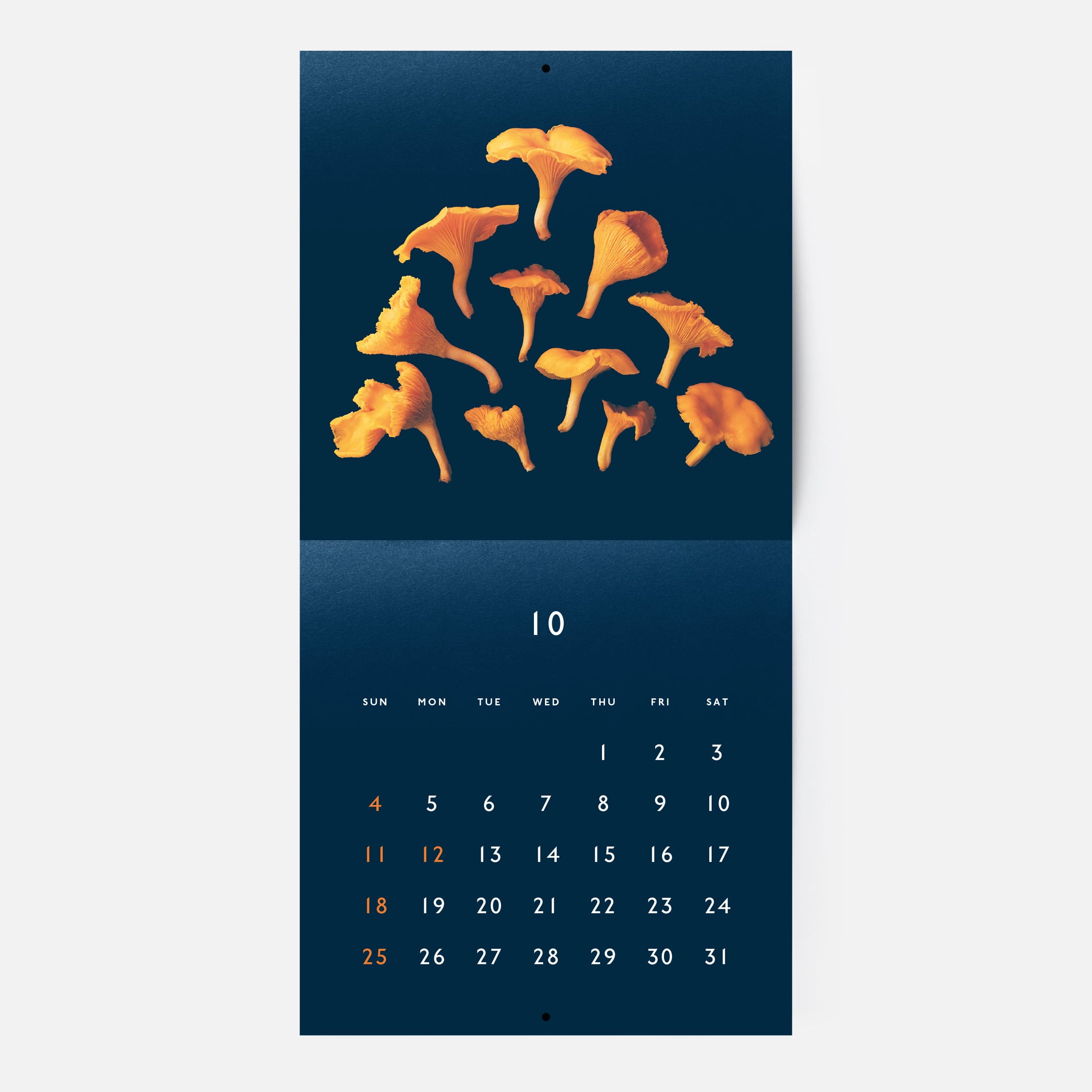 【非売品】アスガルド ASGALDH カレンダー ZONE 非売品】アスガルド ASGALDH カレンダー ZONE