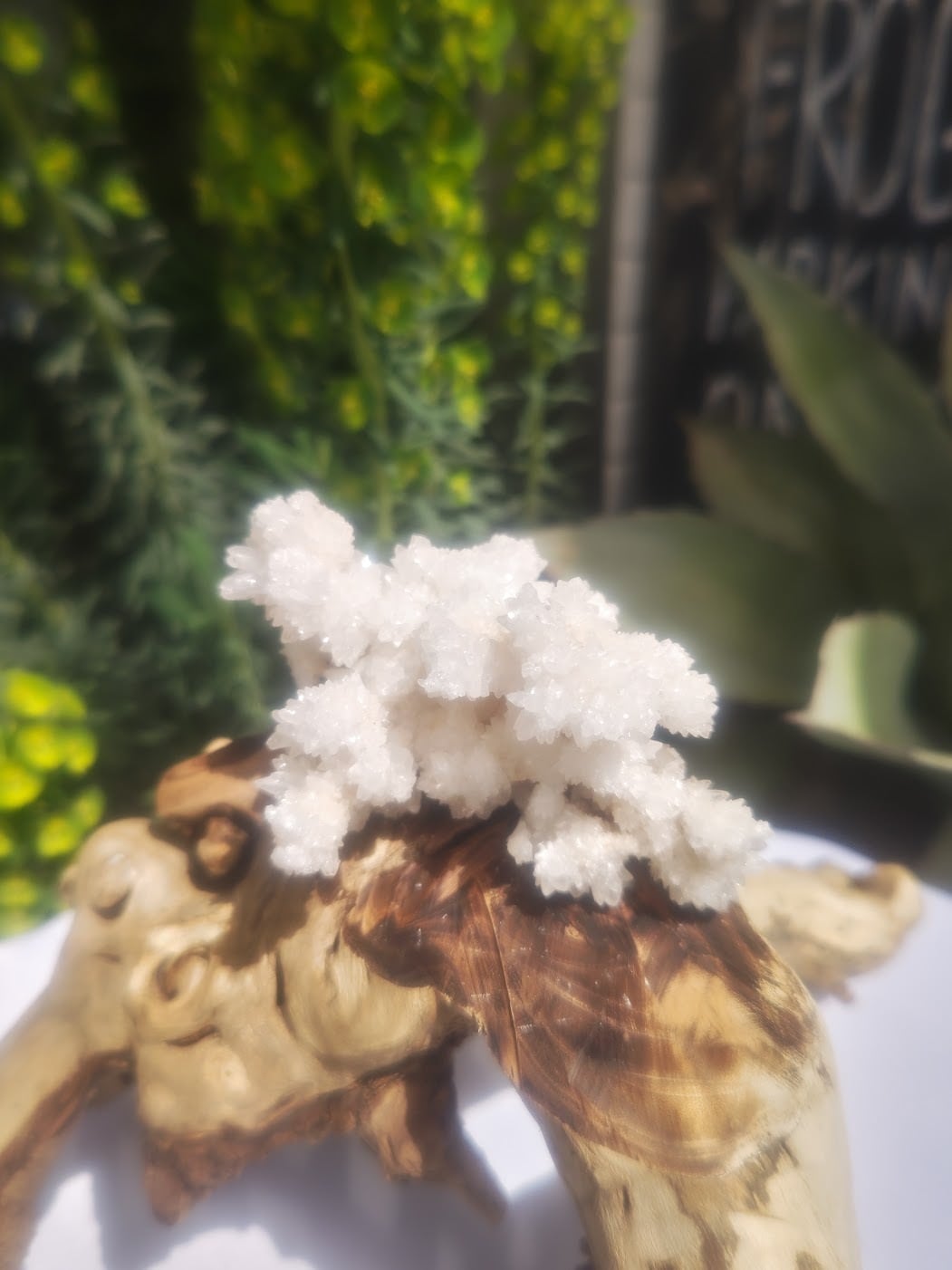 メキシコ産アラゴナイト メキシコ・チワワ州産アラゴナイト1｜ファインミネラル