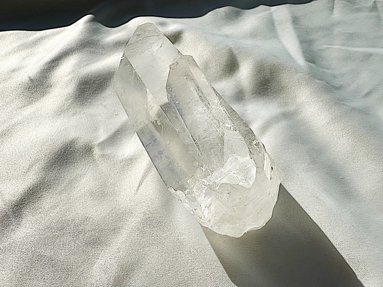 引き寄せる幸運の森