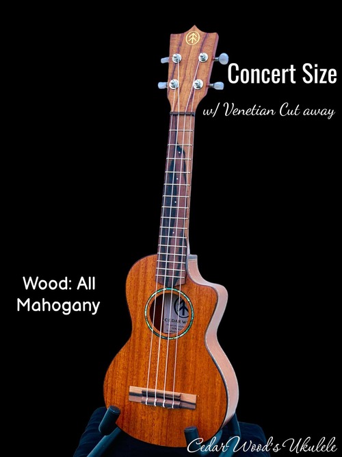 Mahogany Concert with Soft Cutaway