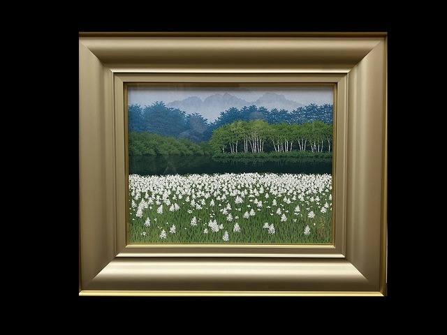 ミツガシワ咲く