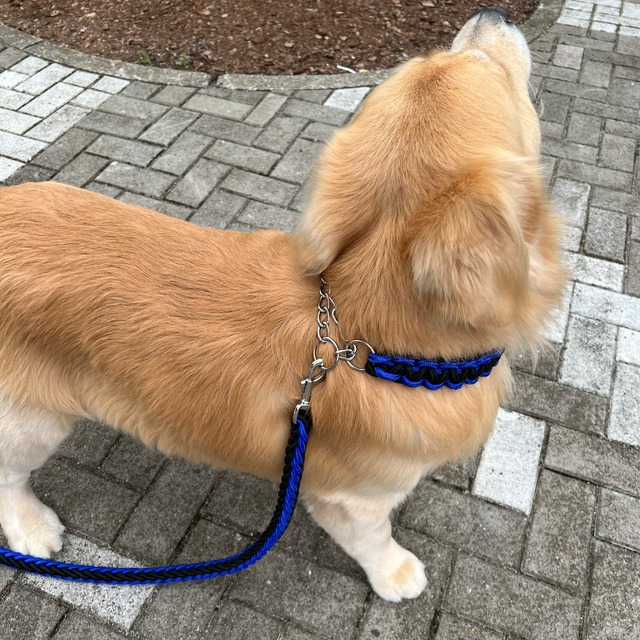 【犬用品】ソフトチェーンリード　リード　韓流風リード　大型犬