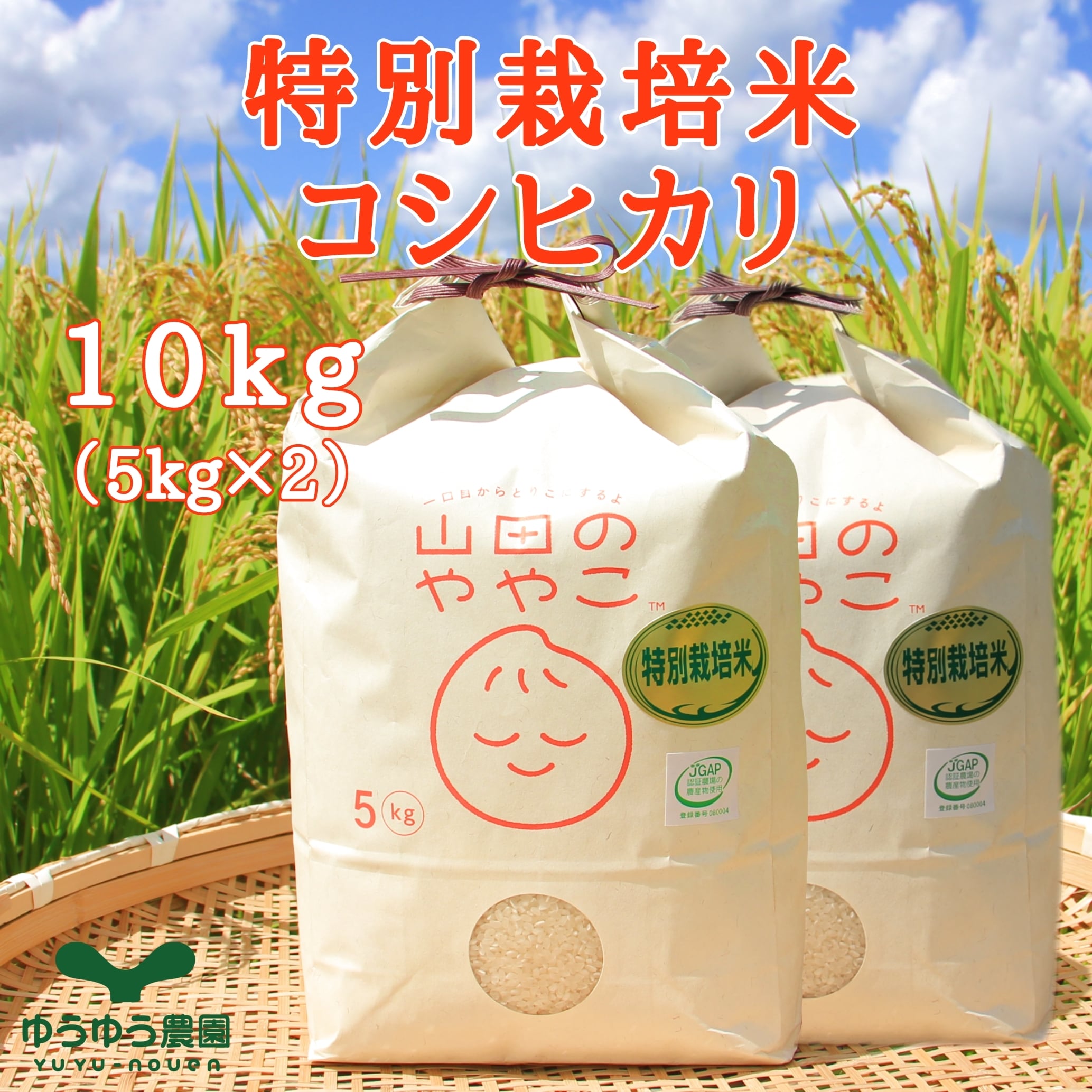 山田のややこセット【10kg@5kg×2】特別栽培米 | ゆうゆう農園