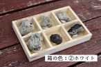 かわいい軽石コレクションBOX◆6種類◆福徳岡ノ場・2021噴火による　～軽石図鑑作者鑑定～