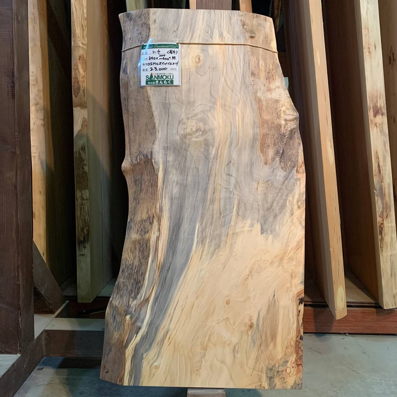 木材 73 カツラ板材