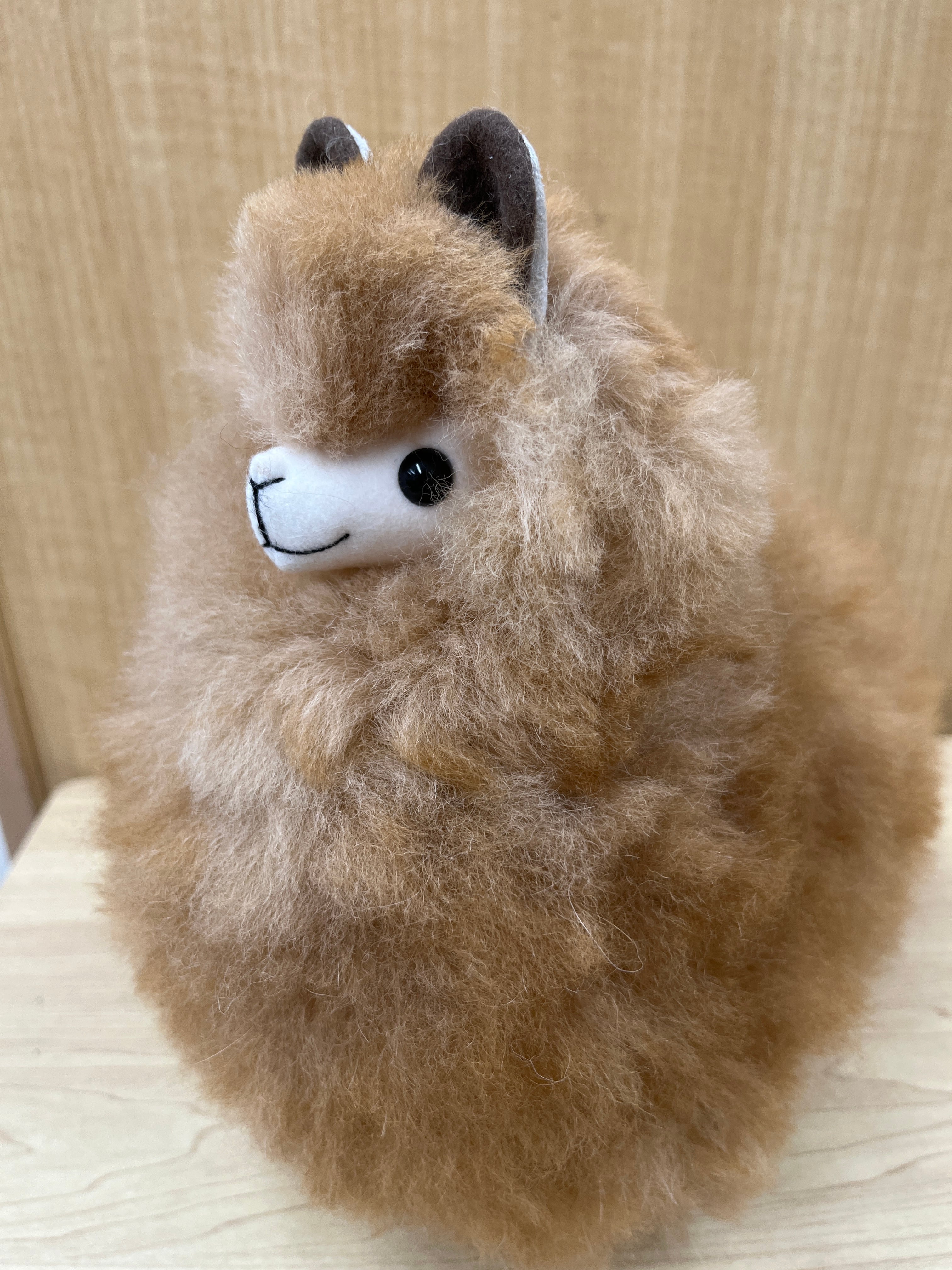 ベビーアルパカ100% アルパカ 人形 インテリア プレゼント 癒し 希少 L ベビーアルパカ人形 25cm モフベージュ | ALPACA WORLD