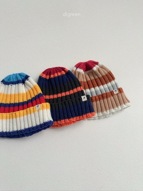〘予約〙digreen / multi beanie