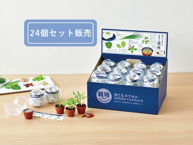 【 24個セット 】育てるカプセル　薬味