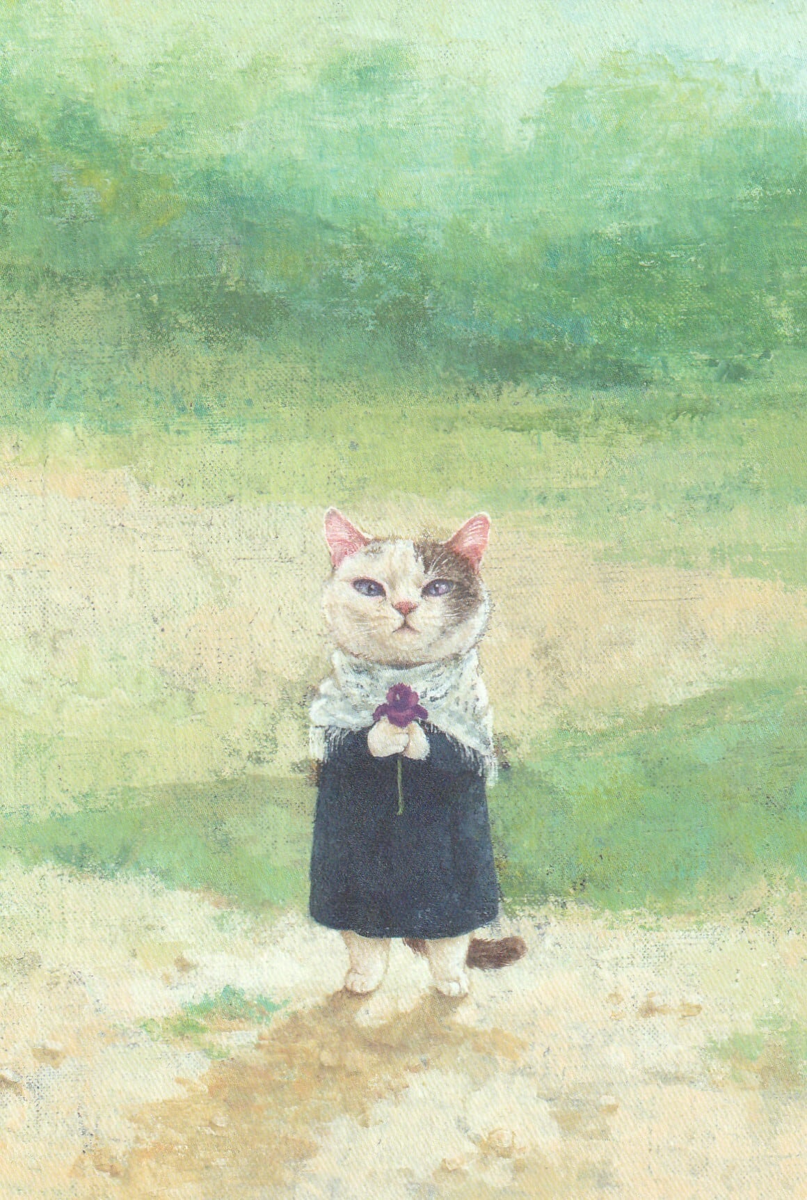 町田尚子「ギルボア・アイリス」ポストカード パレスチナ支援