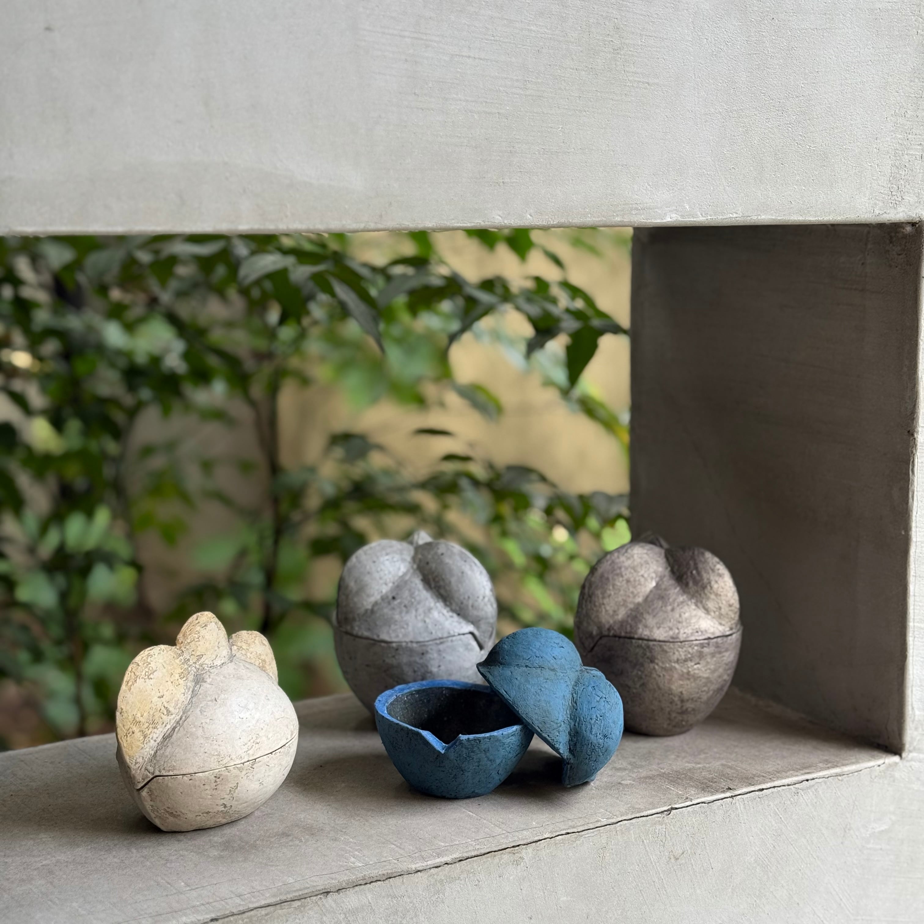 鷹尾葉子 ふたもの (TANE) 色化粧 | gallery 一白