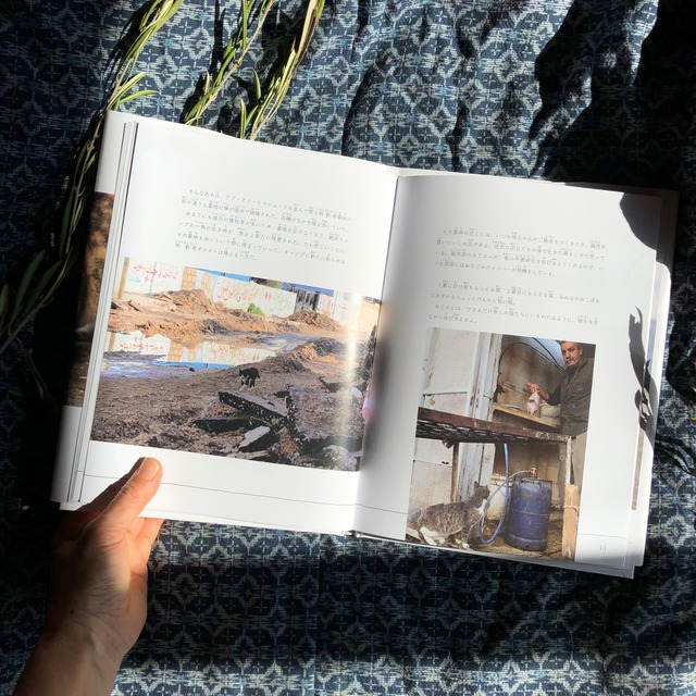 『シロくんとパレスチナの猫』