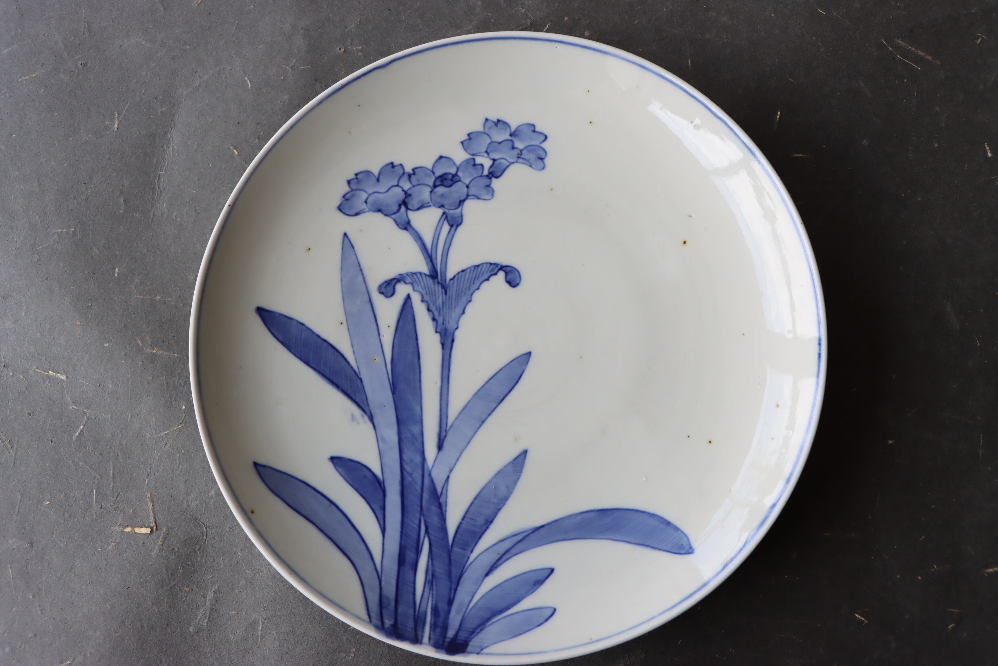 染付 阿蘭陀石竹文 中皿 七寸/Blue and white medium size plate | (有