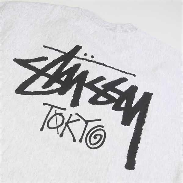 Size【L】 STUSSY ステューシー 24AW STOCK TOKYO CREW ASH