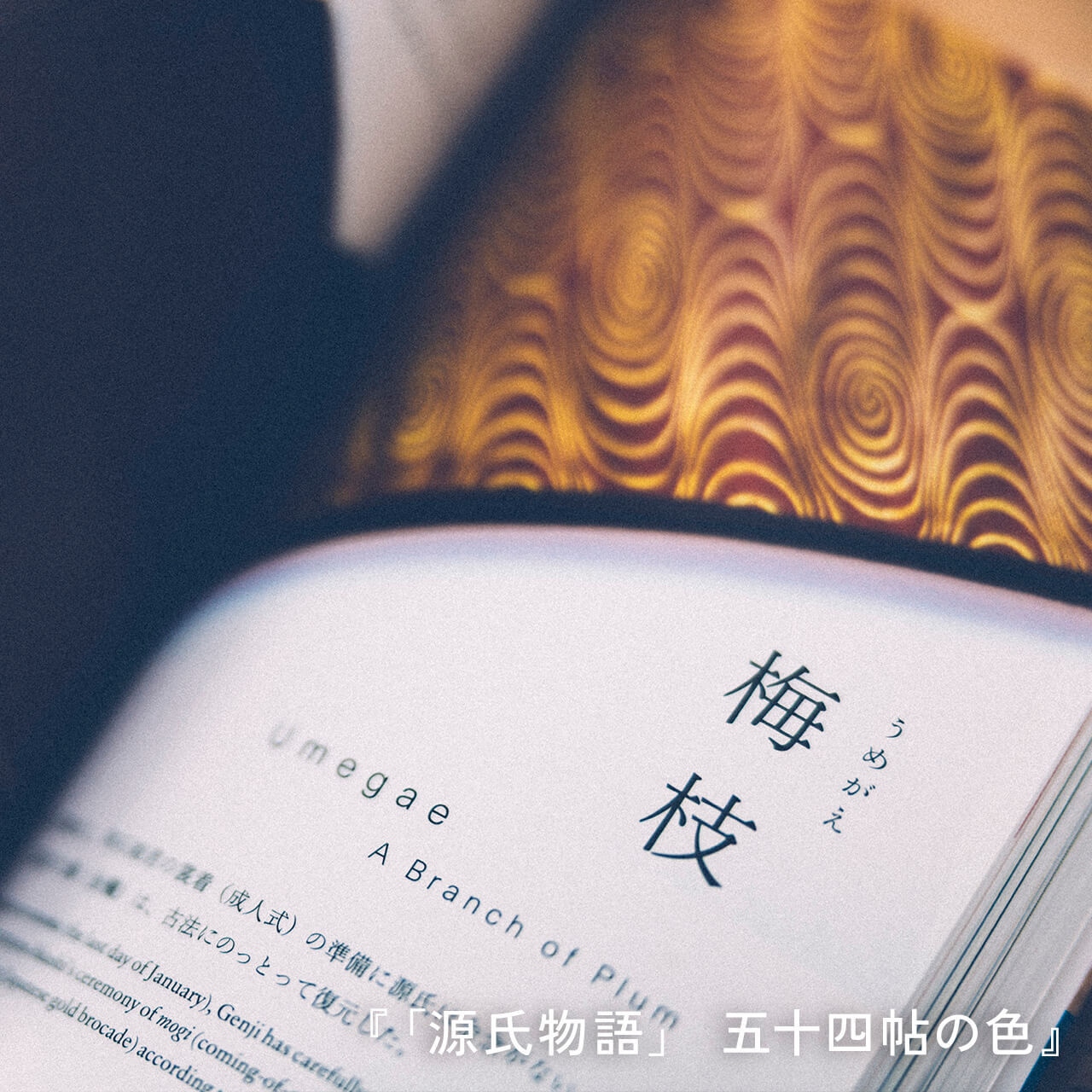 「和」と「美」に触れて重なりあう物語を感じるセット