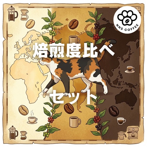 1つの豆で「浅・中・深」焙煎度飲み比べセット（50g×3種）