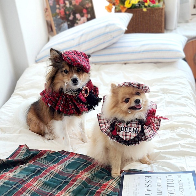 受注制作 【Loocia】 Merry berry check Cape / ペット服 犬服 猫服