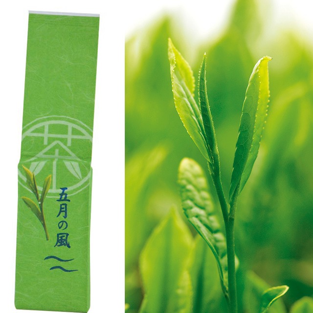 深蒸し茶 荒仕上げ 五月の風 200ｇ