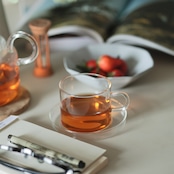 【ICHENDORF】PIUMA teacup&saucer