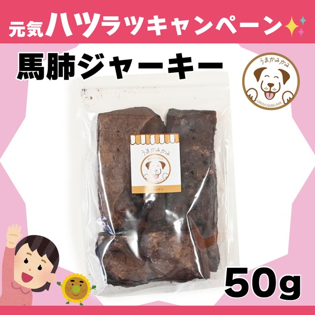 【月間お買い得】 馬肺ジャーキー 50g (27.3.30)