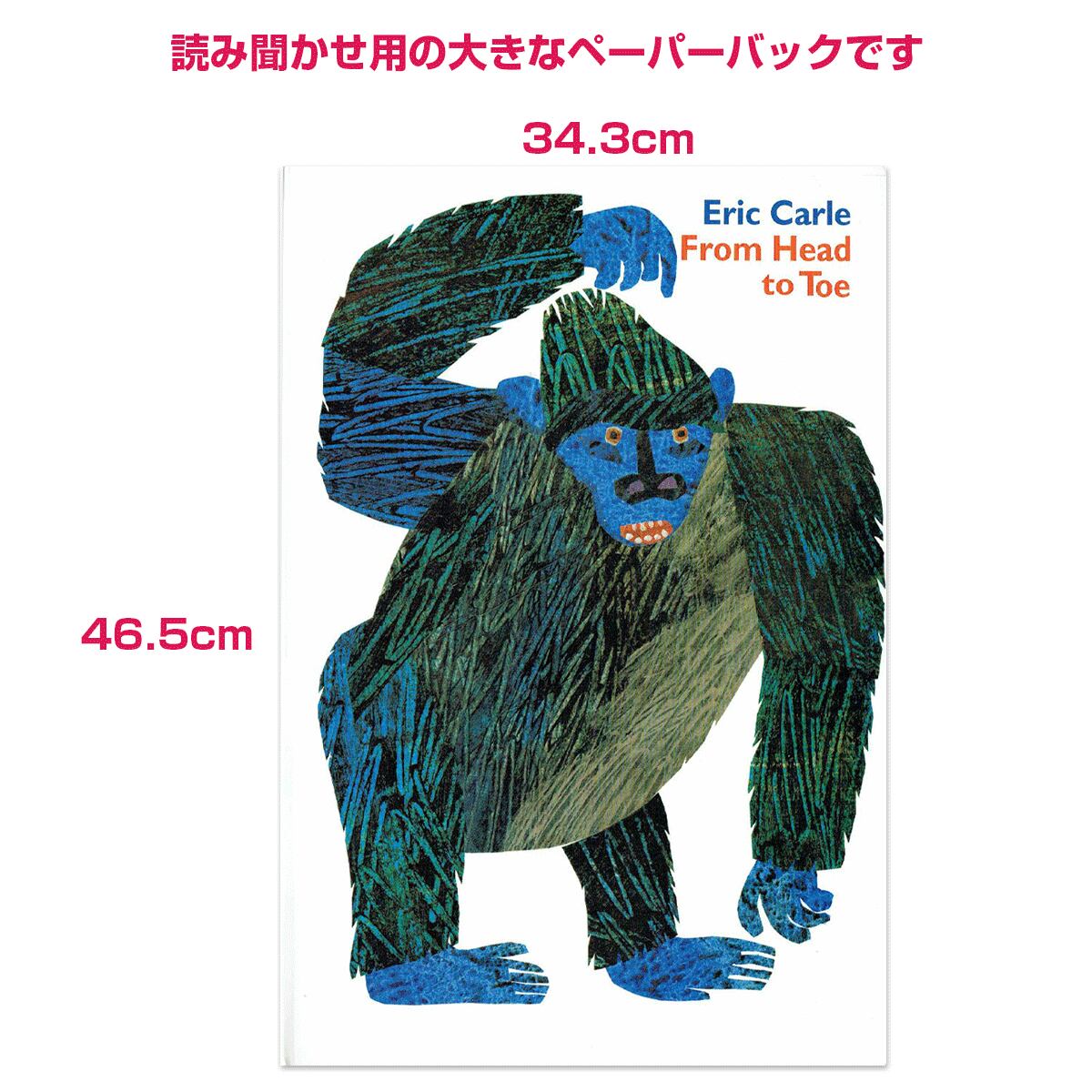 ★大判★読み聞かせ用 大きな「From head to toe」