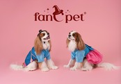 [予約販売] [fanCpet］Male Style HanBok 3 Boy