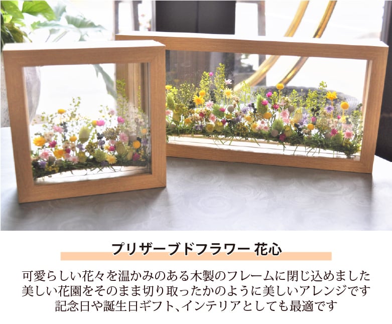 プリザーブドフラワー 花心L | ブルーメンケイ