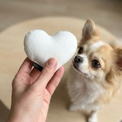 【選べる2個セット】Monotone & Nuance Pet Toy モノトーン&ニュアンス ペットトイ