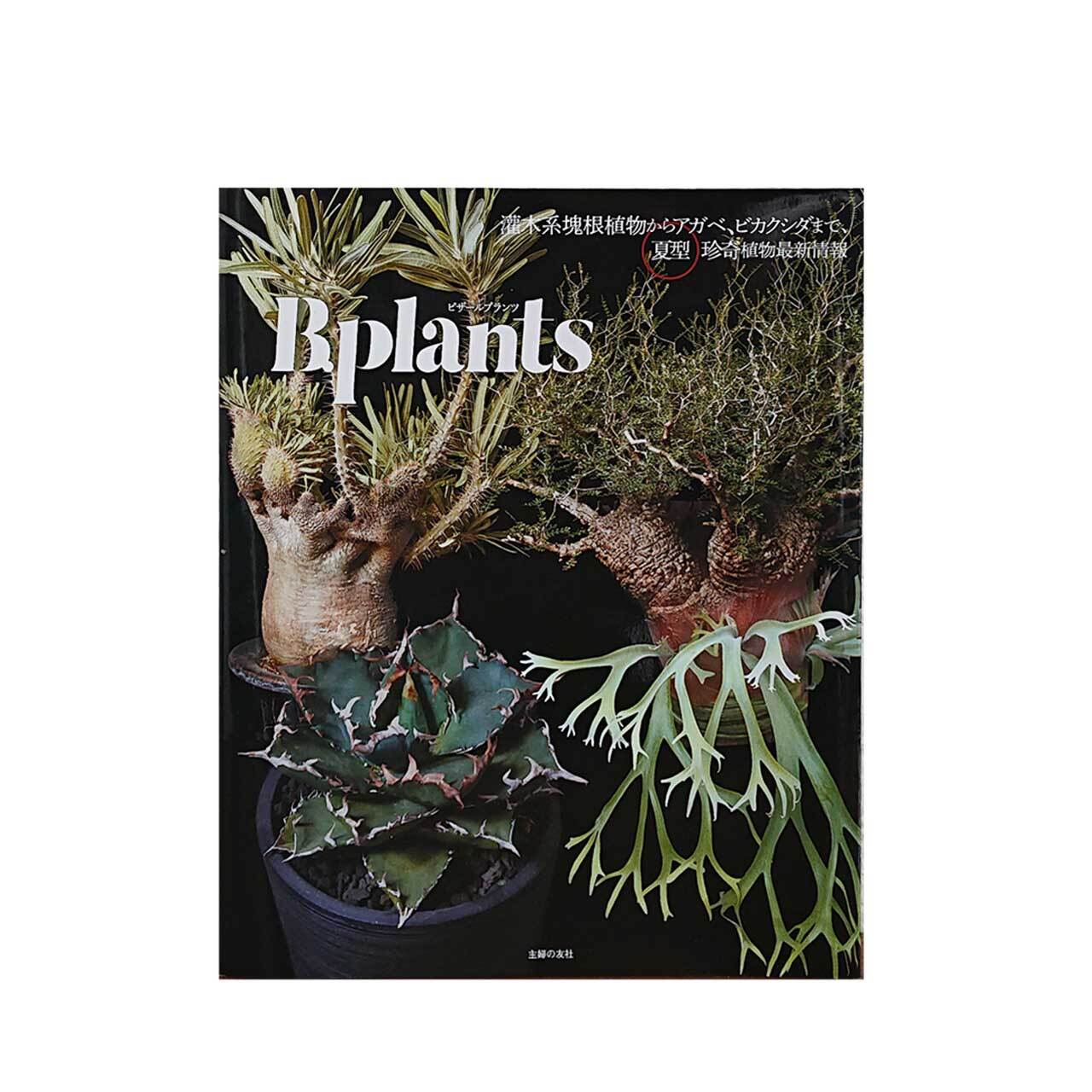 Bizarre Plants -Summer type- | Seeding