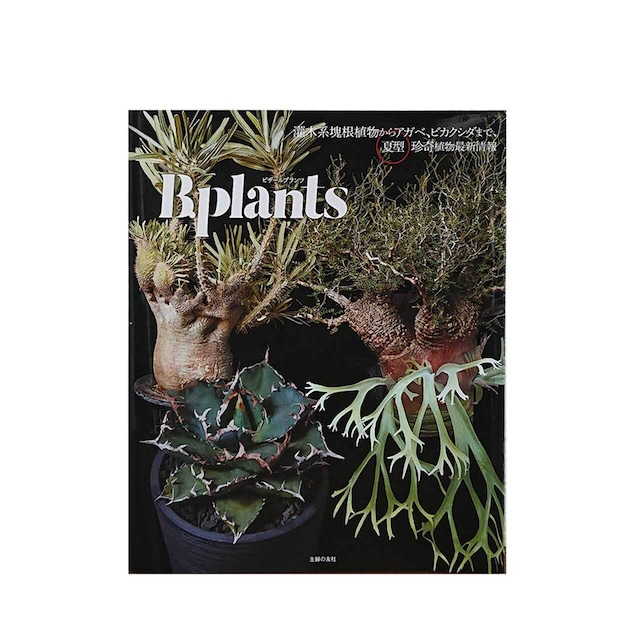 Bizarre Plants -Summer type-