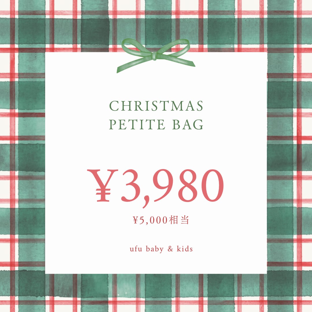 Christmas petite bag①