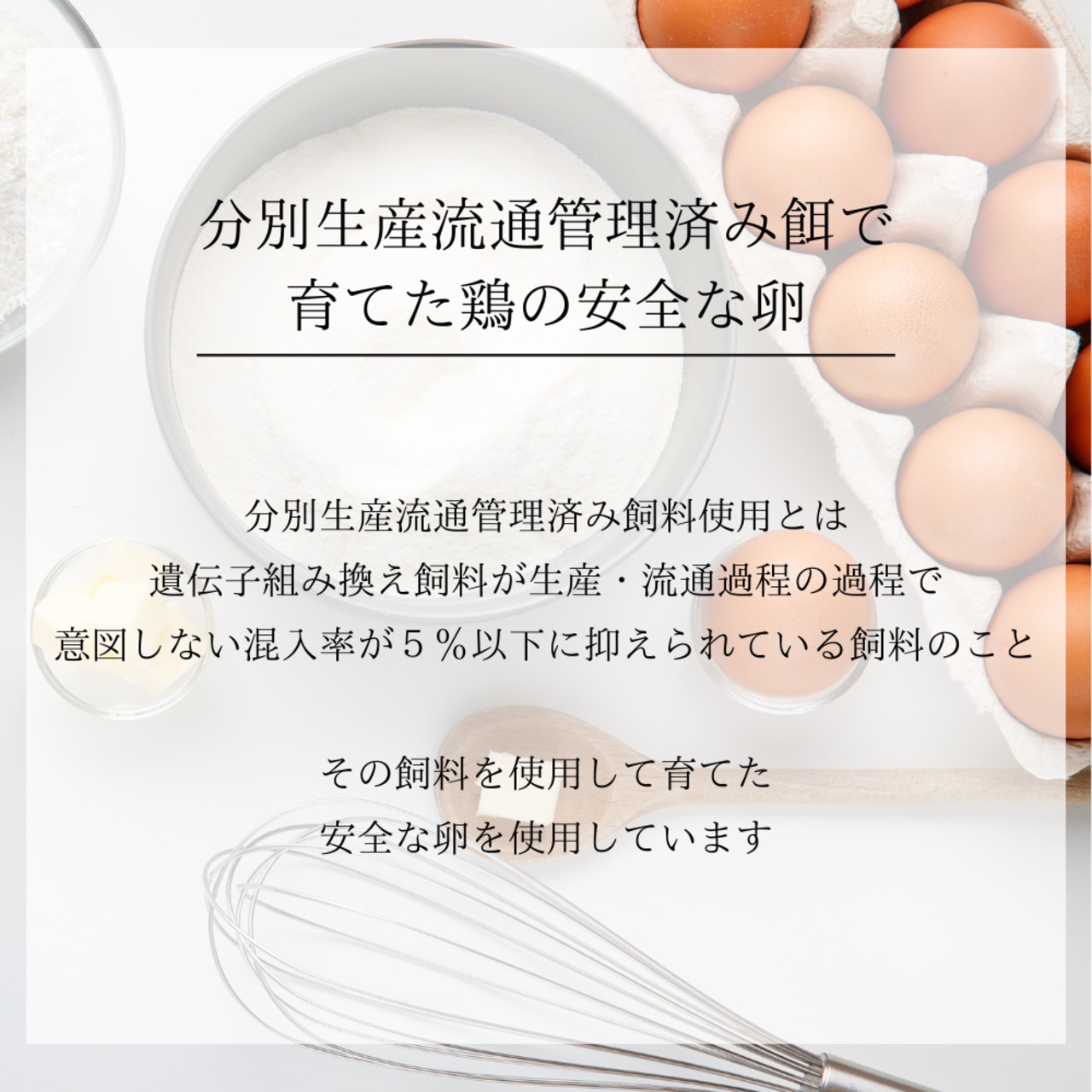 エシカルコレクション【mini】