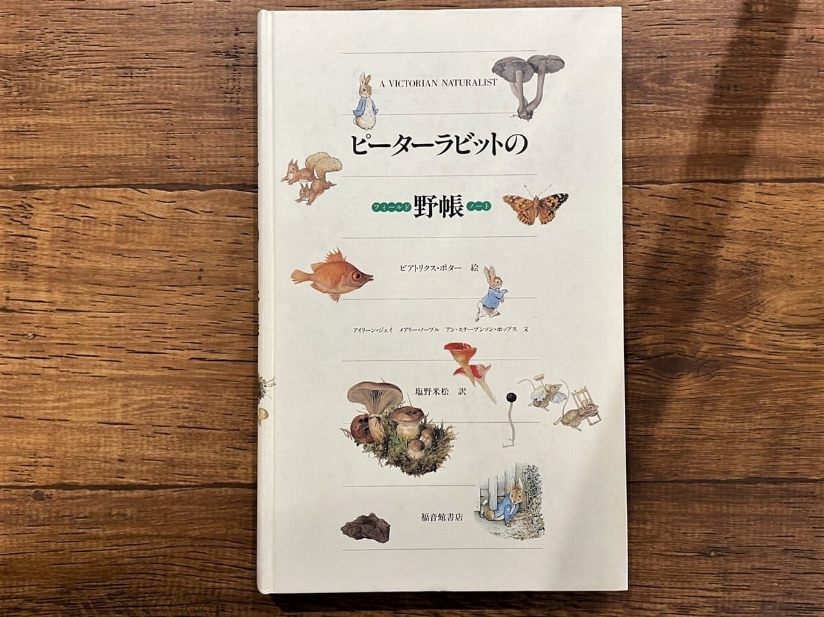 【DP301】ピーターラビットの野帳(フィールドノート) / display book