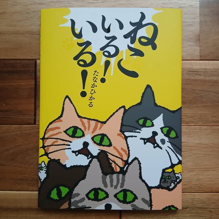 くろねこちゃこのぼうけん | ねこのみち