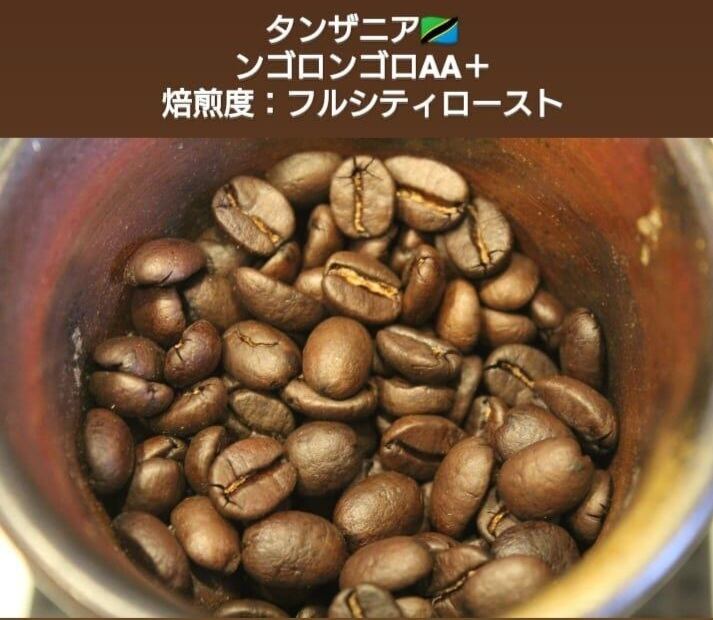 3月限定 濃厚な香り 自家焙煎 コーヒー豆 タンザニア ケント種 300g